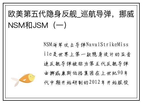 欧美第五代隐身反舰_巡航导弹，挪威NSM和JSM（一）