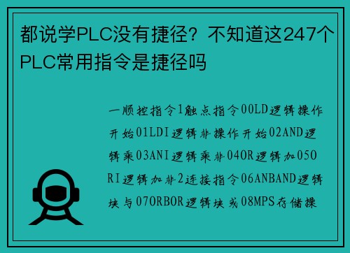 都说学PLC没有捷径？不知道这247个PLC常用指令是捷径吗
